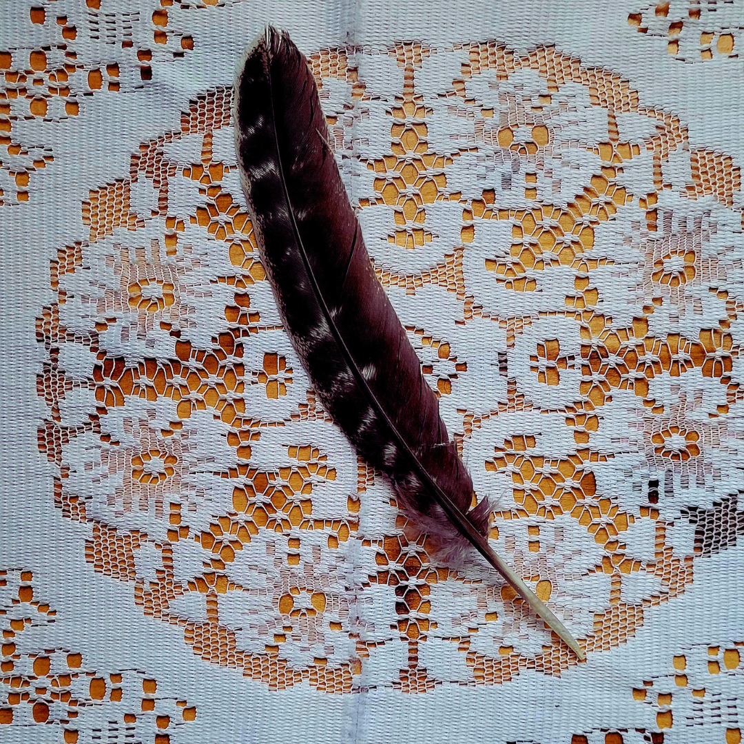 Feathers
