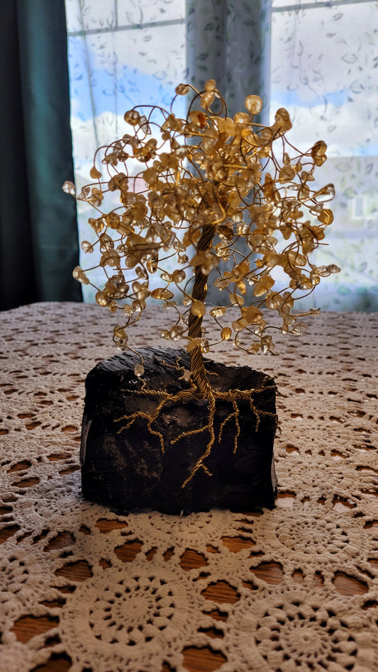Grounded in Abundance Tree